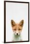 Baby Fox-Tai Prints-Framed Art Print