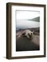 Baby Galapagos Sea Lion on Beach in the Galapagos Islands, Ecuador-Justin Bailie-Framed Photographic Print