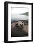 Baby Galapagos Sea Lion on Beach in the Galapagos Islands, Ecuador-Justin Bailie-Framed Photographic Print