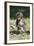 Baby Gelada Baboon (Theropithecus Gelada)-Gabrielle and Michel Therin-Weise-Framed Photographic Print