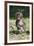 Baby Gelada Baboon (Theropithecus Gelada)-Gabrielle and Michel Therin-Weise-Framed Photographic Print