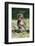 Baby Gelada Baboon (Theropithecus Gelada)-Gabrielle and Michel Therin-Weise-Framed Photographic Print