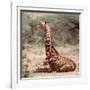 Baby giraffe, Loisaba, 2017-Eric Meyer-Framed Photographic Print