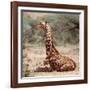 Baby giraffe, Loisaba, 2017-Eric Meyer-Framed Photographic Print
