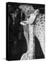 Baby Giraffe Taking a Look Around-Al Fenn-Stretched Canvas