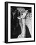 Baby Giraffe Taking a Look Around-Al Fenn-Framed Photographic Print