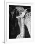 Baby Giraffe Taking a Look Around-Al Fenn-Framed Photographic Print