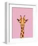 Baby Giraffe-Lucia Stewart-Framed Art Print