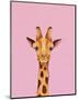 Baby Giraffe-Lucia Stewart-Mounted Art Print