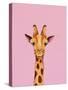 Baby Giraffe-Lucia Stewart-Stretched Canvas