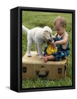 Baby Girl Playing with Puppy-Chris Lowe-Framed Stretched Canvas