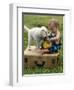 Baby Girl Playing with Puppy-Chris Lowe-Framed Photographic Print