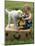 Baby Girl Playing with Puppy-Chris Lowe-Mounted Photographic Print