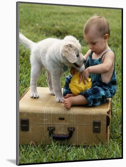 Baby Girl Playing with Puppy-Chris Lowe-Mounted Photographic Print