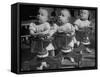 Baby Girl Triplets-Fritz Goro-Framed Stretched Canvas