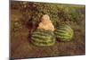 Baby Girl with Two Watermelons-null-Mounted Art Print