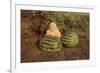 Baby Girl with Two Watermelons-null-Framed Art Print