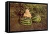 Baby Girl with Two Watermelons-null-Framed Stretched Canvas