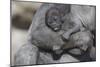 Baby Gorilla Cradling in Mother's Arms-DLILLC-Mounted Photographic Print