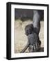 Baby Gorilla Sitting on Mother's Hand-null-Framed Photographic Print