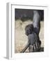 Baby Gorilla Sitting on Mother's Hand-null-Framed Photographic Print