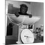 Baby Gorilla, Tips the Scales at 8Lbs 12Ozs 1976-Freddie Reed-Mounted Photographic Print