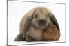 Baby Guinea Pig and Rabbit-Mark Taylor-Mounted Photographic Print