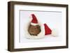 Baby Guinea Pig in and Wearing a Father Christmas Hat-Mark Taylor-Framed Photographic Print