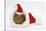 Baby Guinea Pig in and Wearing a Father Christmas Hat-Mark Taylor-Stretched Canvas