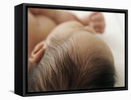 Baby Hair-Ian Boddy-Framed Stretched Canvas