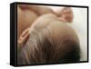 Baby Hair-Ian Boddy-Framed Stretched Canvas