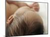 Baby Hair-Ian Boddy-Mounted Premium Photographic Print