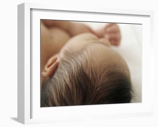 Baby Hair-Ian Boddy-Framed Photographic Print