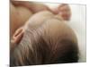 Baby Hair-Ian Boddy-Mounted Photographic Print