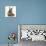 Baby Hedgehog and Young Lionhead-Cross Rabbit-Mark Taylor-Stretched Canvas displayed on a wall