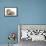 Baby Hedgehog (Erinaceous Europaeus) and Guinea Pig (Cavia Porcellus)-Mark Taylor-Framed Stretched Canvas displayed on a wall