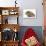 Baby Hedgehog (Erinaceus Europaeus) and Guinea Pig, Walking in Profile-Mark Taylor-Photographic Print displayed on a wall