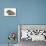 Baby Hedgehog (Erinaceus Europaeus) and Guinea Pig, Walking in Profile-Mark Taylor-Mounted Photographic Print displayed on a wall