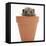 Baby Hedgehog (Erinaceus Europaeus) in a Flowerpot-Mark Taylor-Framed Stretched Canvas