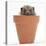 Baby Hedgehog (Erinaceus Europaeus) in a Flowerpot-Mark Taylor-Stretched Canvas