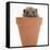 Baby Hedgehog (Erinaceus Europaeus) in a Flowerpot-Mark Taylor-Framed Stretched Canvas