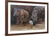 Baby Hippos-Peter Blackwell-Framed Art Print