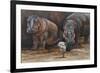 Baby Hippos-Peter Blackwell-Framed Art Print