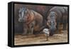 Baby Hippos-Peter Blackwell-Framed Stretched Canvas