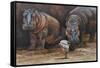 Baby Hippos-Peter Blackwell-Framed Stretched Canvas