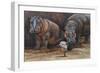 Baby Hippos-Peter Blackwell-Framed Art Print