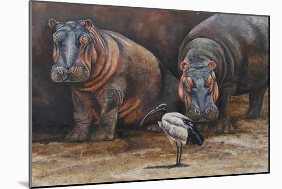 Baby Hippos-Peter Blackwell-Mounted Art Print