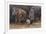 Baby Hippos-Peter Blackwell-Framed Premium Giclee Print