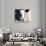 Baby Holstein (color)-Elizabeth Kay-Giclee Print displayed on a wall