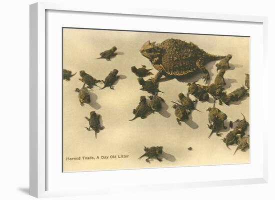 Baby Horned Toads-null-Framed Art Print